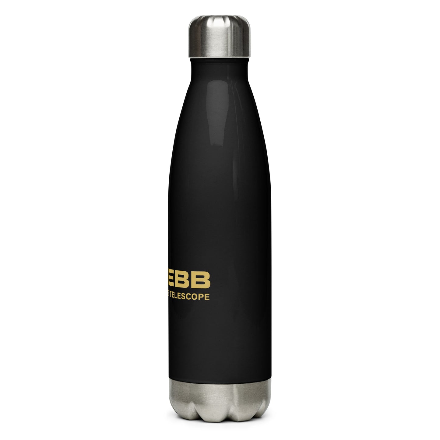 Webb Stainless steel water bottle