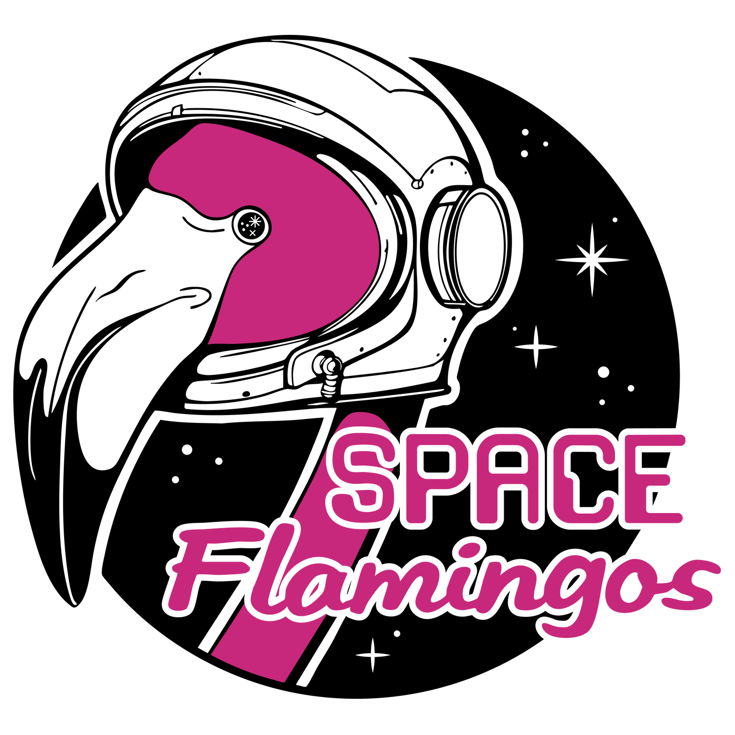 Space Flamingos