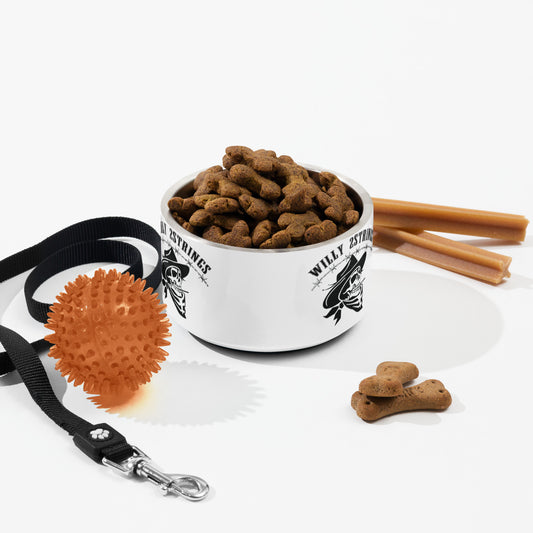 Willy 2Strings Pet bowl